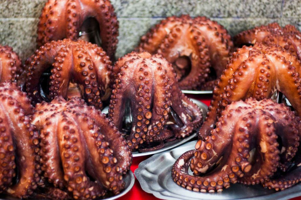 Bandejas de pulpo cocido